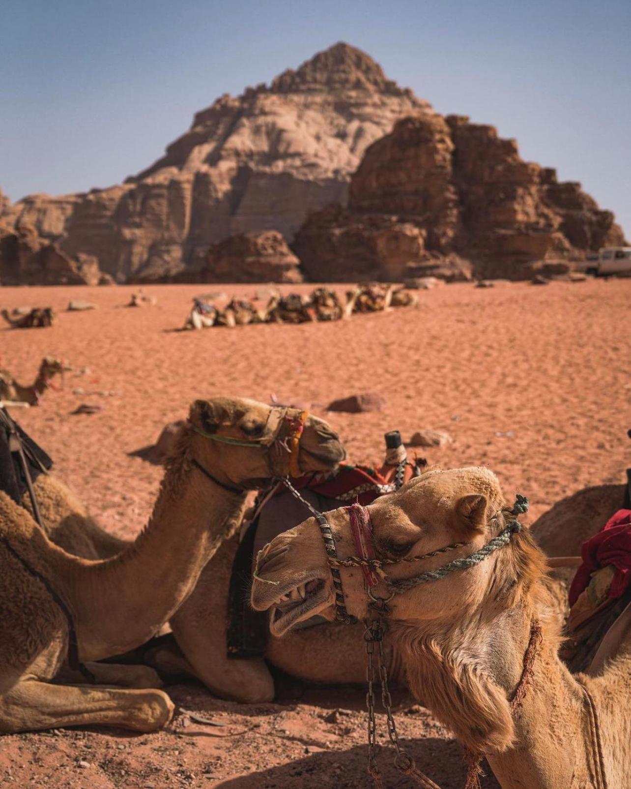 Rum Magic Luxury Camp Wadi Rum Buitenkant foto