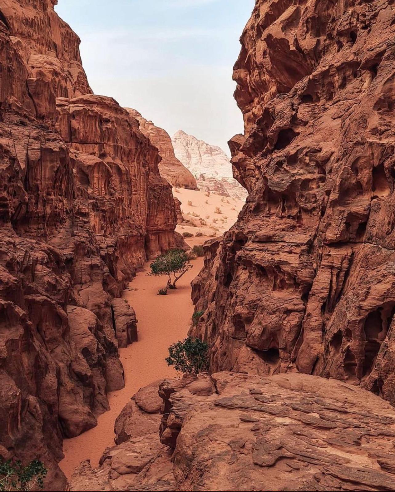 Rum Magic Luxury Camp Wadi Rum Buitenkant foto